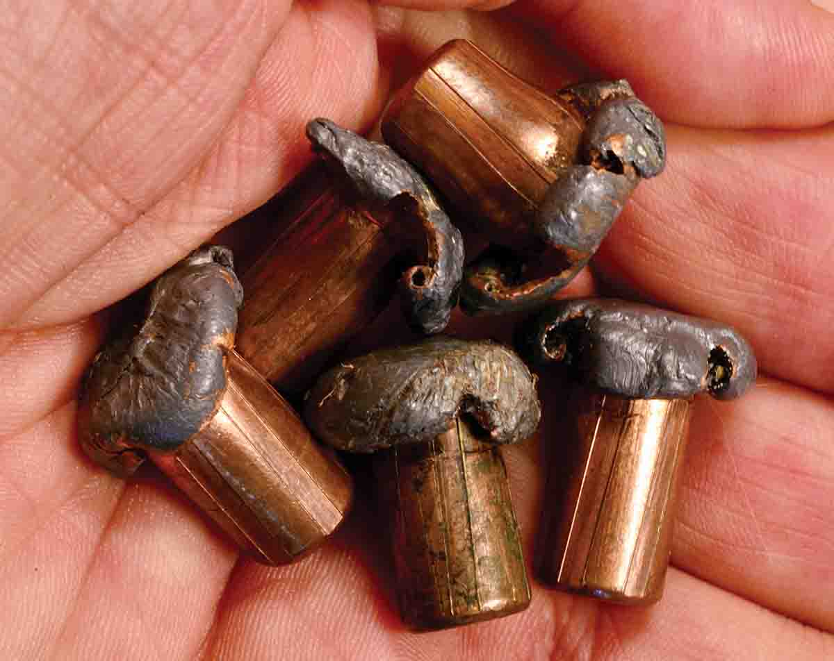 These Swift 400-grain .416-caliber A-Frames fired from a .416 Remington were collectively recovered from two eland, a zebra and a Cape buffalo. The heaviest (394 grains) retained 98 percent of its weight while the lightest (316 grains) is still a very respectable 79 percent. The average retained weight is 88.85 percent.  Several of the bullets struck heavy bone, but all retained their structural integrity.